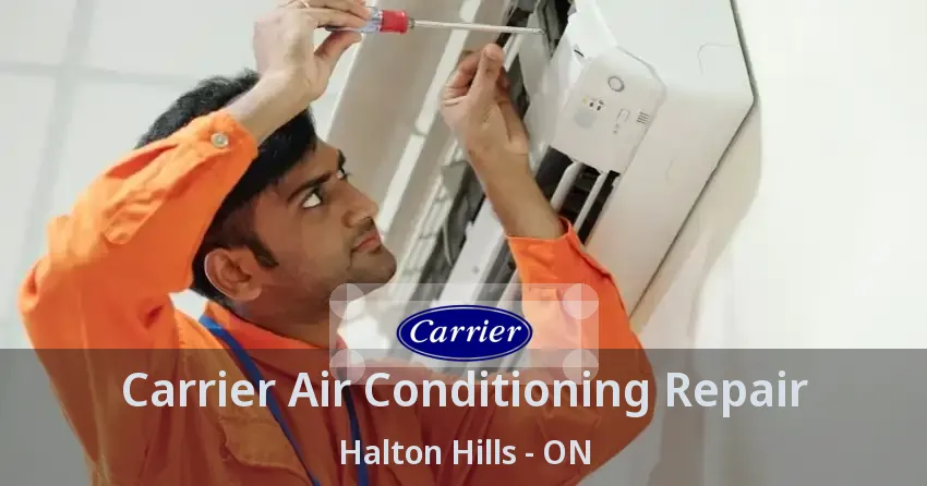 Carrier Air Conditioning Repair Halton Hills - ON