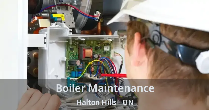 Boiler Maintenance Halton Hills - ON