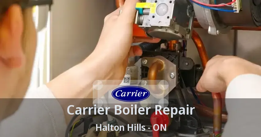 Carrier Boiler Repair Halton Hills - ON