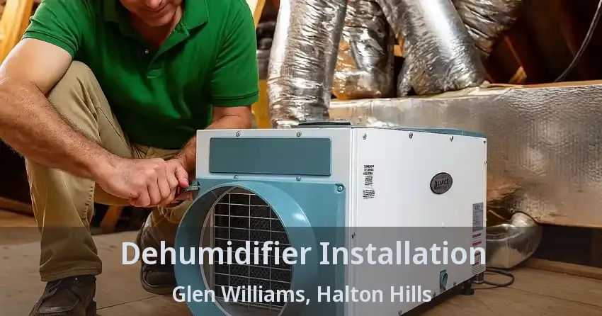 Dehumidifier Installation Glen Williams, Halton Hills - ON