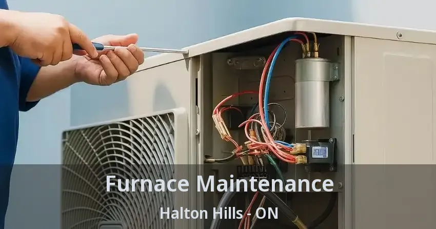 Furnace Maintenance Halton Hills - ON