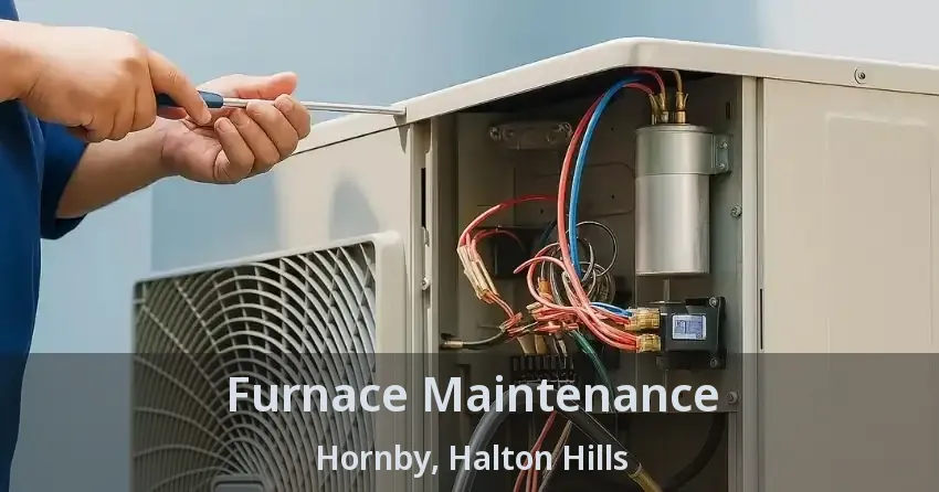 Furnace Maintenance Hornby, Halton Hills - ON
