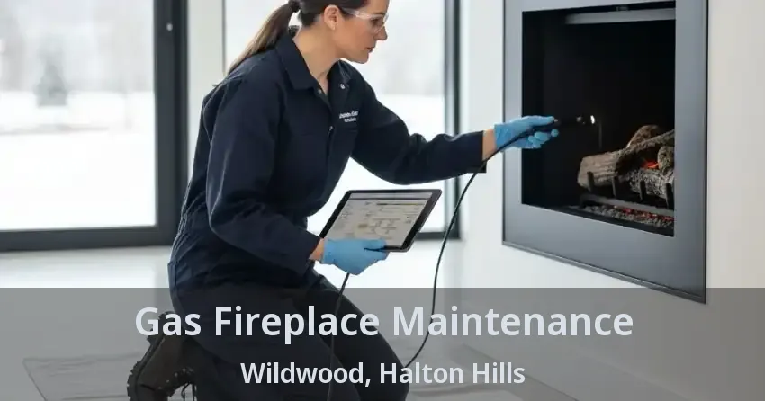 Gas Fireplace Maintenance Wildwood, Halton Hills - ON