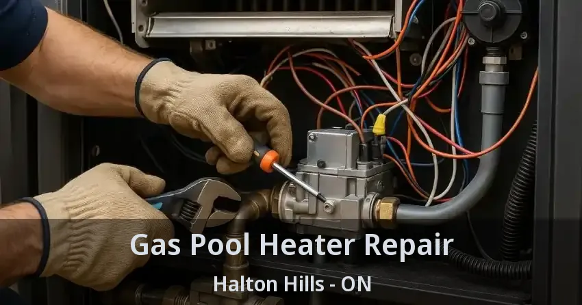 Gas Pool Heater Repair Halton Hills - ON