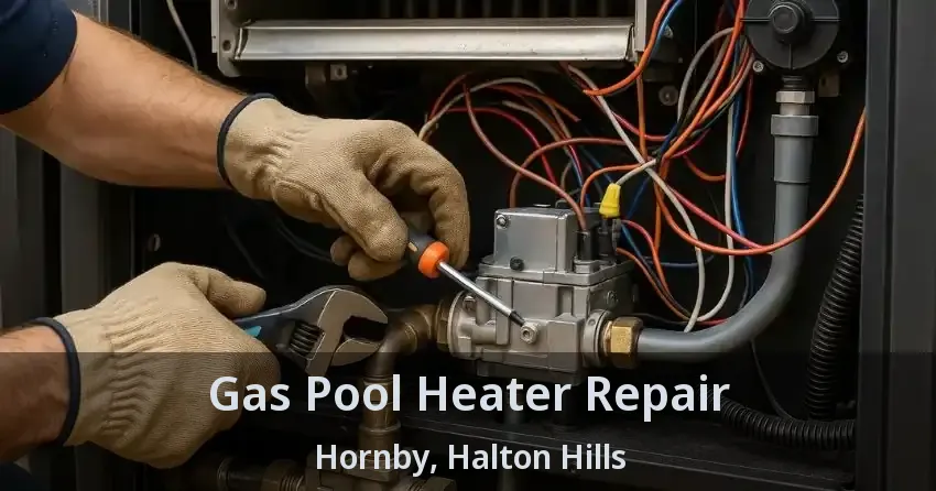 Gas Pool Heater Repair Hornby, Halton Hills - ON