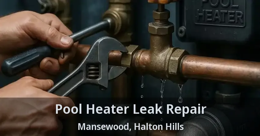 Pool Heater Leak Repair Mansewood, Halton Hills - ON