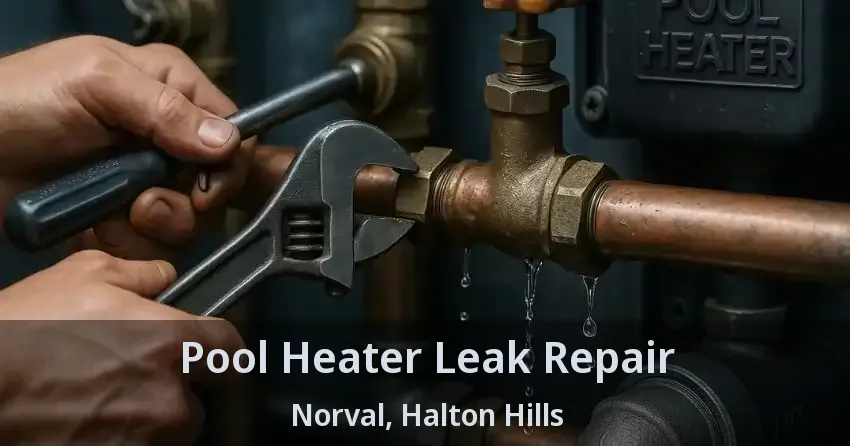 Pool Heater Leak Repair Norval, Halton Hills - ON