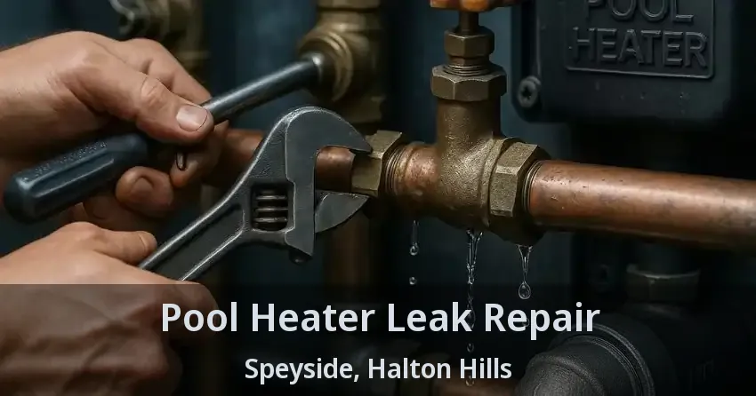 Pool Heater Leak Repair Speyside, Halton Hills - ON