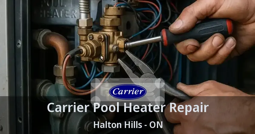 Carrier Pool Heater Repair Halton Hills - ON