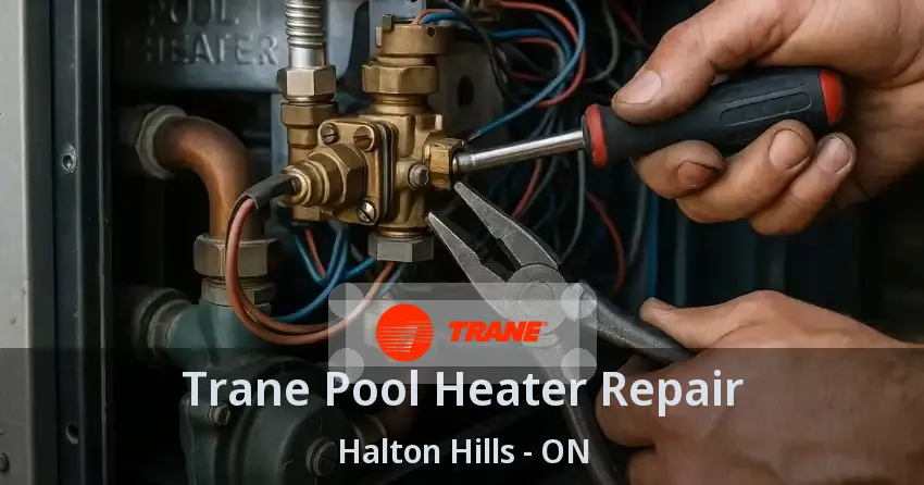 Trane Pool Heater Repair Halton Hills - ON